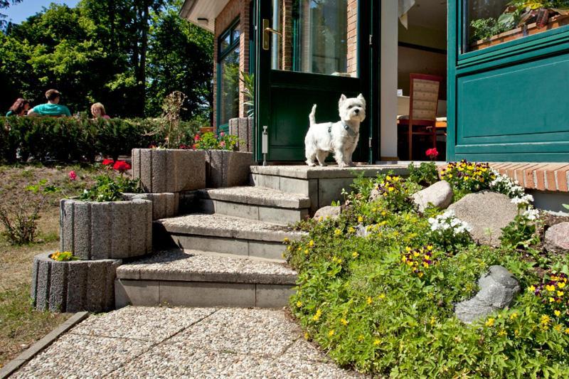 Nationalparkhotel Kranichrast Schwarzenhof Exterior foto